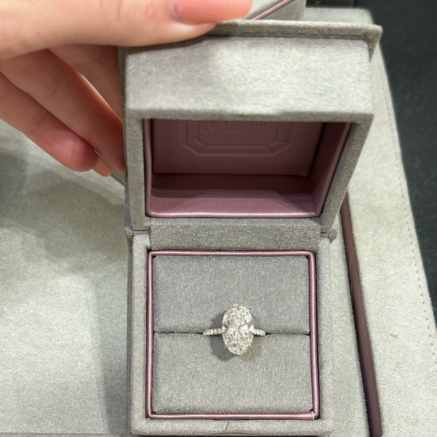 Oval Brilliant 3D Pave Engagement Ring