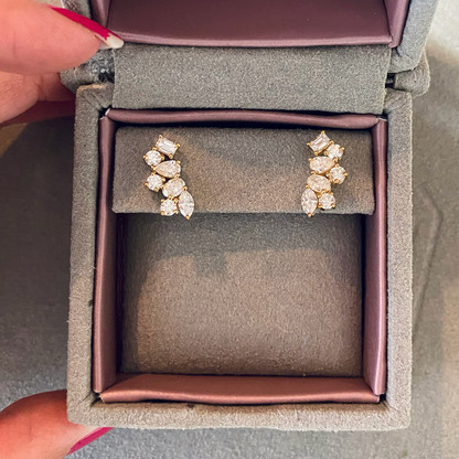 Rising Love Ear Climbers